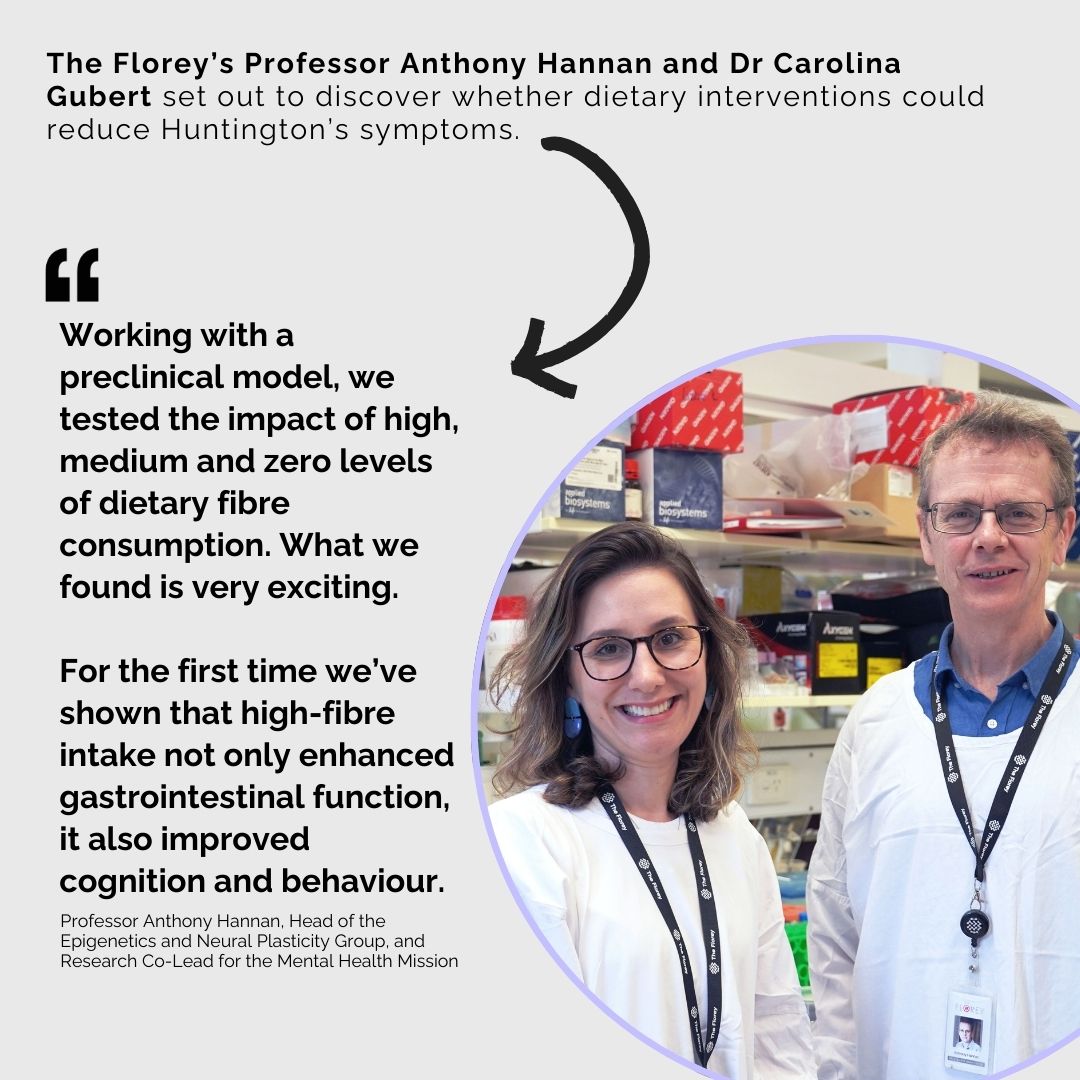 BREAKTHROUGH RESEARCH 

Florey researchers have found that high-fibre intake can delay the onset of the inherited progressive neurodegenerative disorder Huntington’s disease symptoms florey.edu.au/news/2024/02/h…

#TheFlorey #Neuroscience
