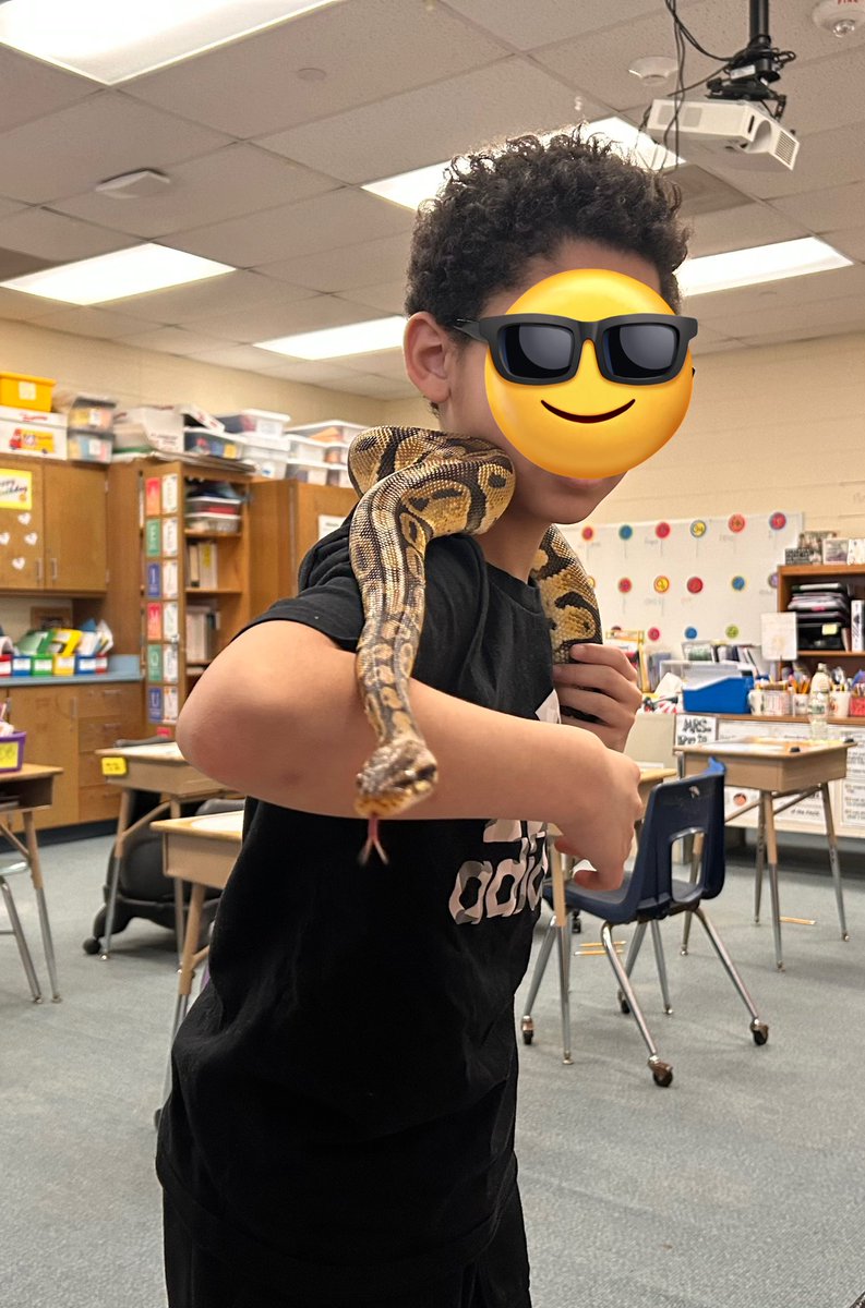 Cristina Mato tweet media