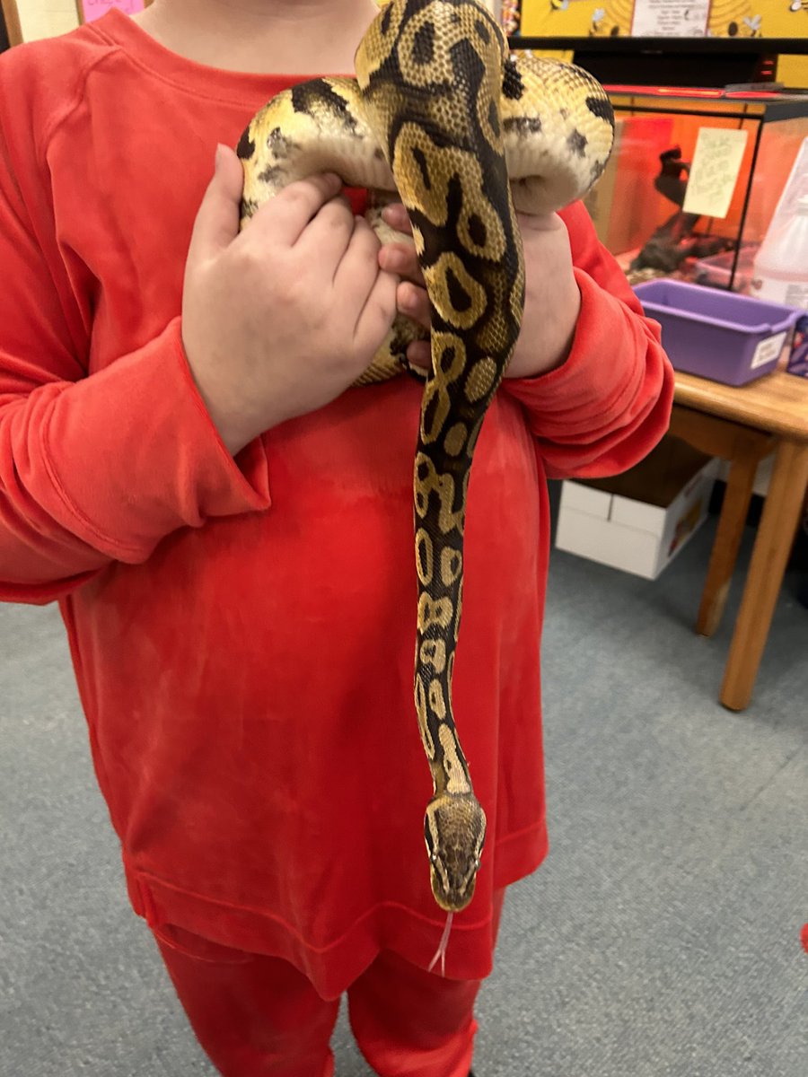 Cristina Mato tweet media