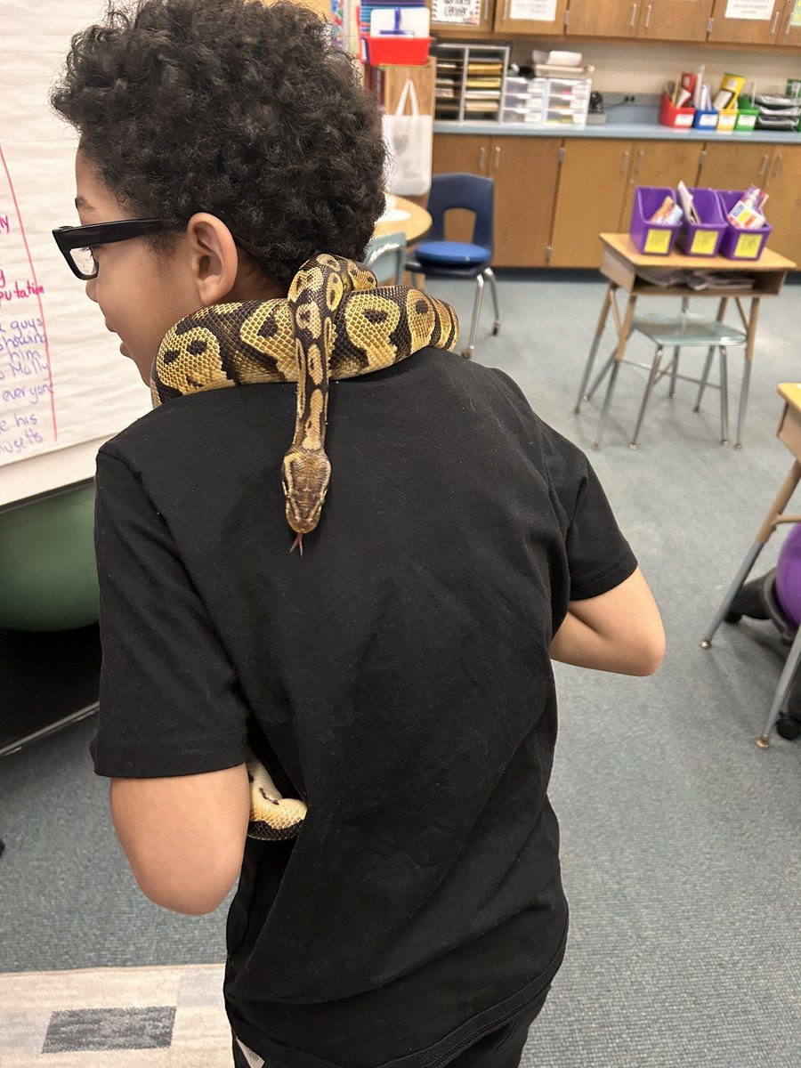 Cristina Mato tweet media