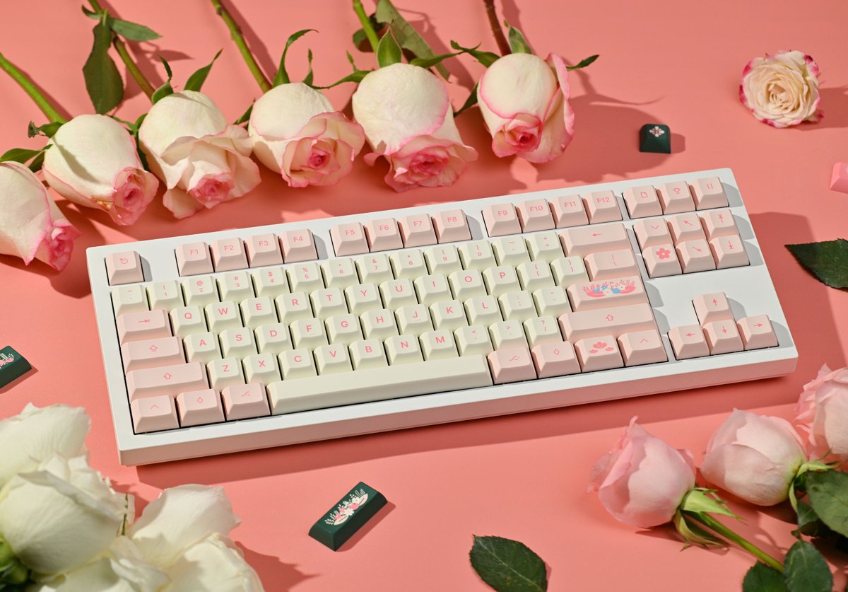 keyreative_'s tweet photo. Flower power 💐
KAM Bouquet
Designed by @thereseadoremos
#keyreative#keycaps #keyboard #mechanicalkeyboard #customkeyboard #flowers #keebs #keyset #cutesetup https://t.co/M0ZXCtrK8a