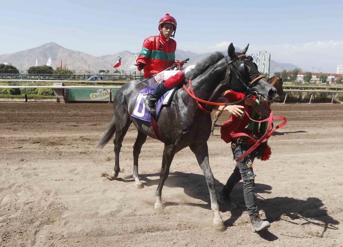 ¡Sólido triunfo de Ga Mo Tak! 💪🏼 Tras debutar segundo, el hijo de #MorningRaider y Deeba derrotó por 2 cuerpos a Kane en condicional de 1.200 metros corrida esta tarde en @hipodromo_chile. Axel Álvarez montó al pensionista de Marco Pavez. ¡Felicitaciones a todo el #TeamSumaya! 🎉