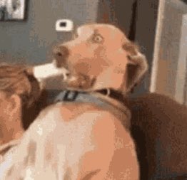 nascarcasm's tweet image. This one very brief moment in the final episode of #NASCARFullSpeed right before the championship race begins my lord