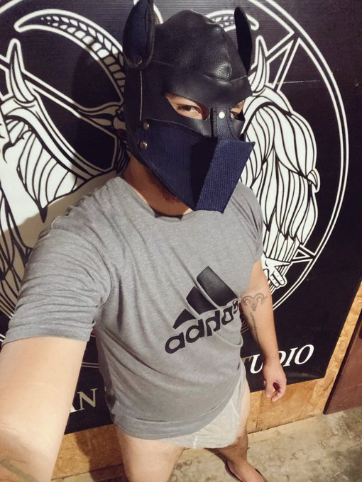 Quien para sadomisar? https://t.co/yVvqtRwauz
