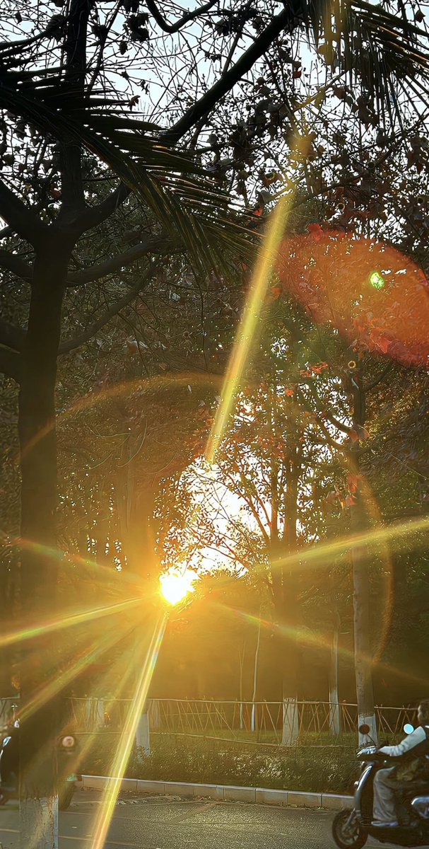 Cần Oder ngay một ngày nắng,huhu🌞🌻🌱🌞. Cái thời tiết đáng ghét thật sự 😟😟