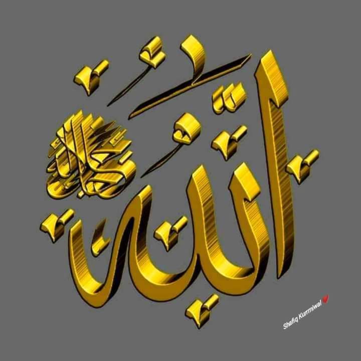 السلام علیکم
صبح بخیر💜💕