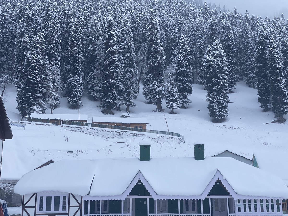 triphittz's tweet photo. #Snowfall  #kashmir 
#snow #winter #mountains #skiing #Gulmarg #sonamarg #pahalgam #dodhpathri  #snowfall #travel #JammuKashmir https://t.co/8m5B8TLnRp