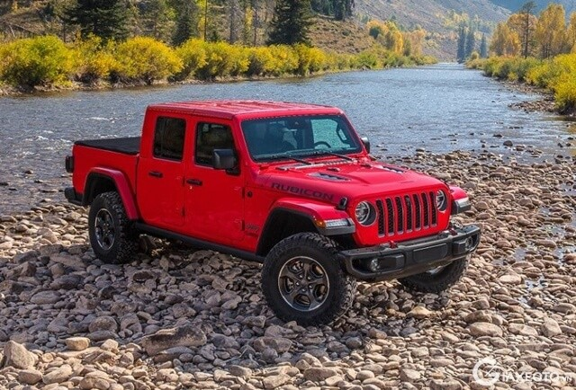 OTO Passionate tweet media