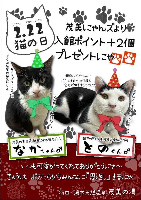 なかちゃん