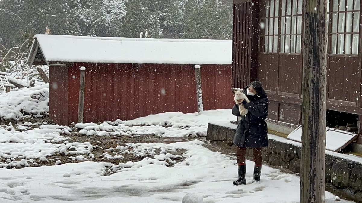 mosaaaaann's tweet photo. 【現状について】
電気が復旧し、給水や一部では水も出るようになってきており生活の質は本当にわずかですが上がってきています。

あの土砂崩れの動画を見る時、市ノ瀬に荷物や猫捜索に行った時色々な思いが込み上げます。その中でも平凡な日常を一瞬で消し去った地震への恐怖と怒りが1番です。
↓ https://t.co/DkuntCMwkr