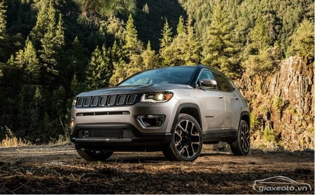 OTO Passionate tweet media