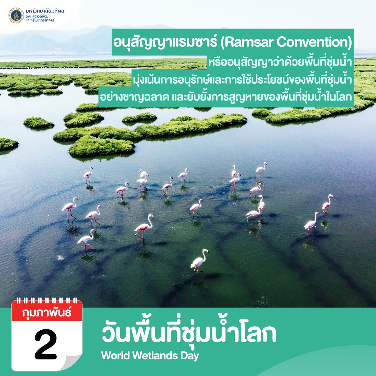 EnMahidol's tweet photo. 2 กุมภาพันธ์ วันพื้นที่ชุ่มน้ำโลก (World Wetlands Day) https://t.co/xzgAmuIZGF
