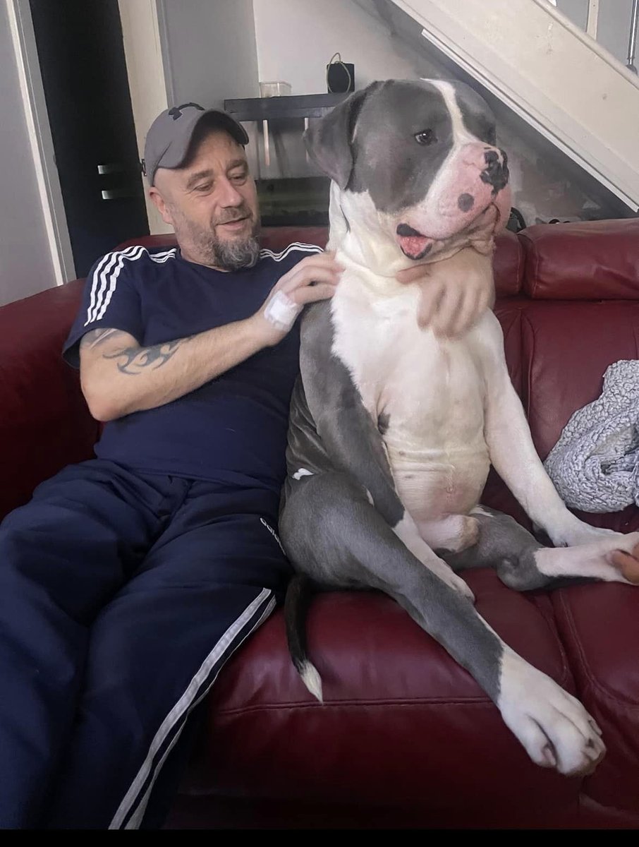 Life coaching & wellness services (@good_vibes_up) on Twitter photo Meet THORR....wee #XLBully lad living in #Scotland ๐ด๓ ง๓ ข๓ ณ๓ ฃ๓ ด๓ ฟ๐ฅฐ
From his proud Dad:
This is Thorr ๐ he is such a happy boy. The cuddliest and most chilled out dog yous will ever meet. ๐๐พ
Why punish this Gentle Giant??? ๐๐ญ
#EndBSL Stop Breed Discrimination #XLBullyBan
Twitter Meet THORR....wee #XLBully lad living in #Scotland ๐ด๓ ง๓ ข๓ ณ๓ ฃ๓ ด๓ ฟ๐ฅฐ
From his proud Dad:
This is Thorr ๐ he is such a happy boy. The cuddliest and most chilled out dog yous will ever meet. ๐๐พ
Why punish this Gentle Giant??? ๐๐ญ
#EndBSL Stop Breed Discrimination #XLBullyBan
Twitter
