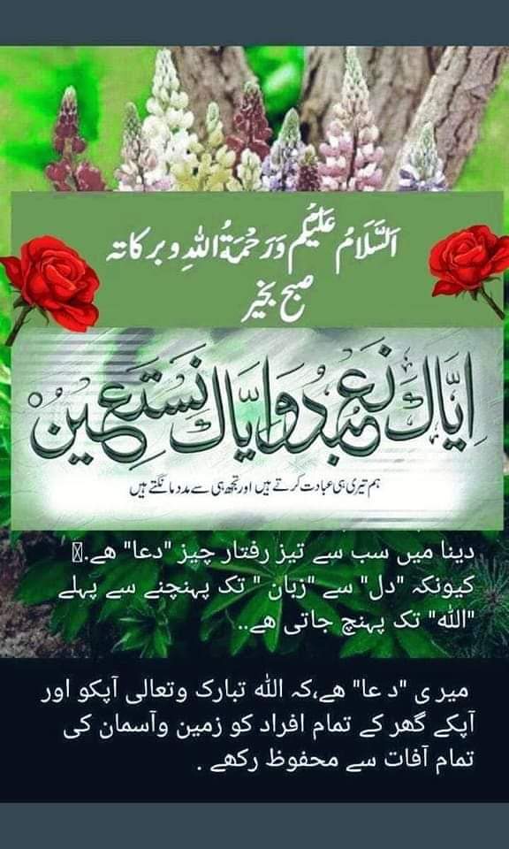 Aslaam O Alaikum
