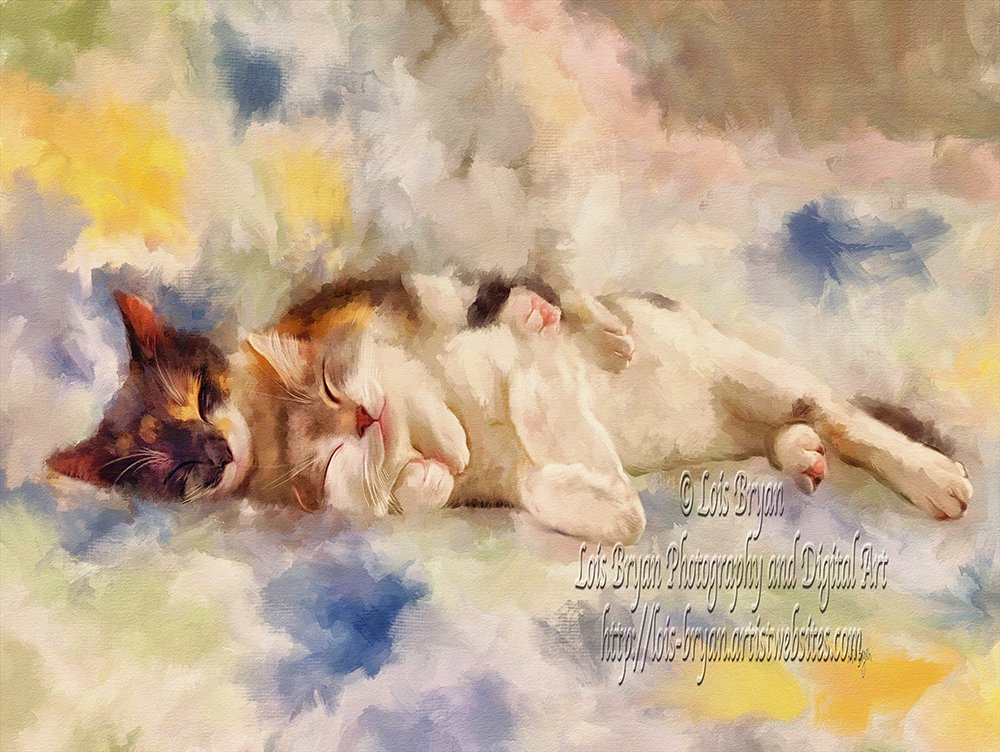 Sweet little rescued kitties enjoy a comfy mid morning doze in the sunniest room in the house. Based on a photo taken by my beautiful daughter in law. lois-bryan.pixels.com/featured/sleep… #kittens #hugs #kitties #cats #art #giftideas #LoisBryan #buyintoart, #ayearforart