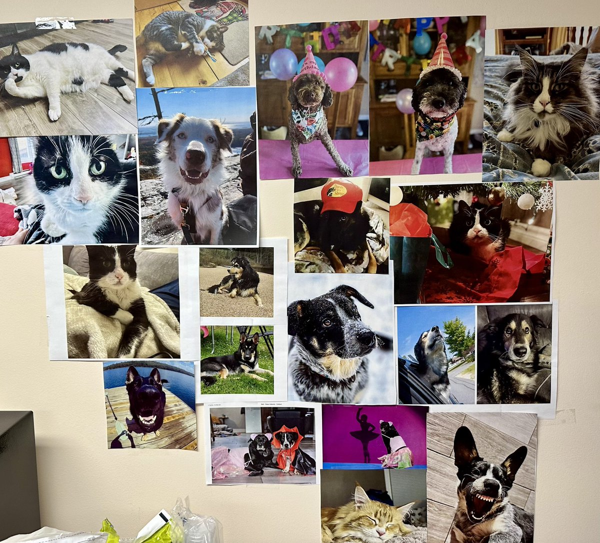 “To our furry heroes that get us through the hard times”
- Morale-boosting wall in staff room at St Joe’s Elliot Lake

#ruralmed #emerg #furryheroes #locumlife #gonnaneedanothercat #nursingjoy #workfamily #petfamily