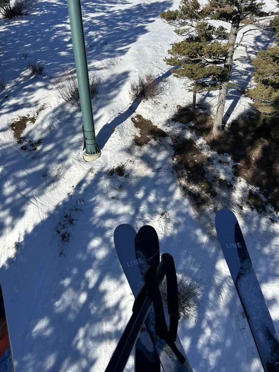 It’s supposed to be prime winter and it’s been 50° for over a week💔💔