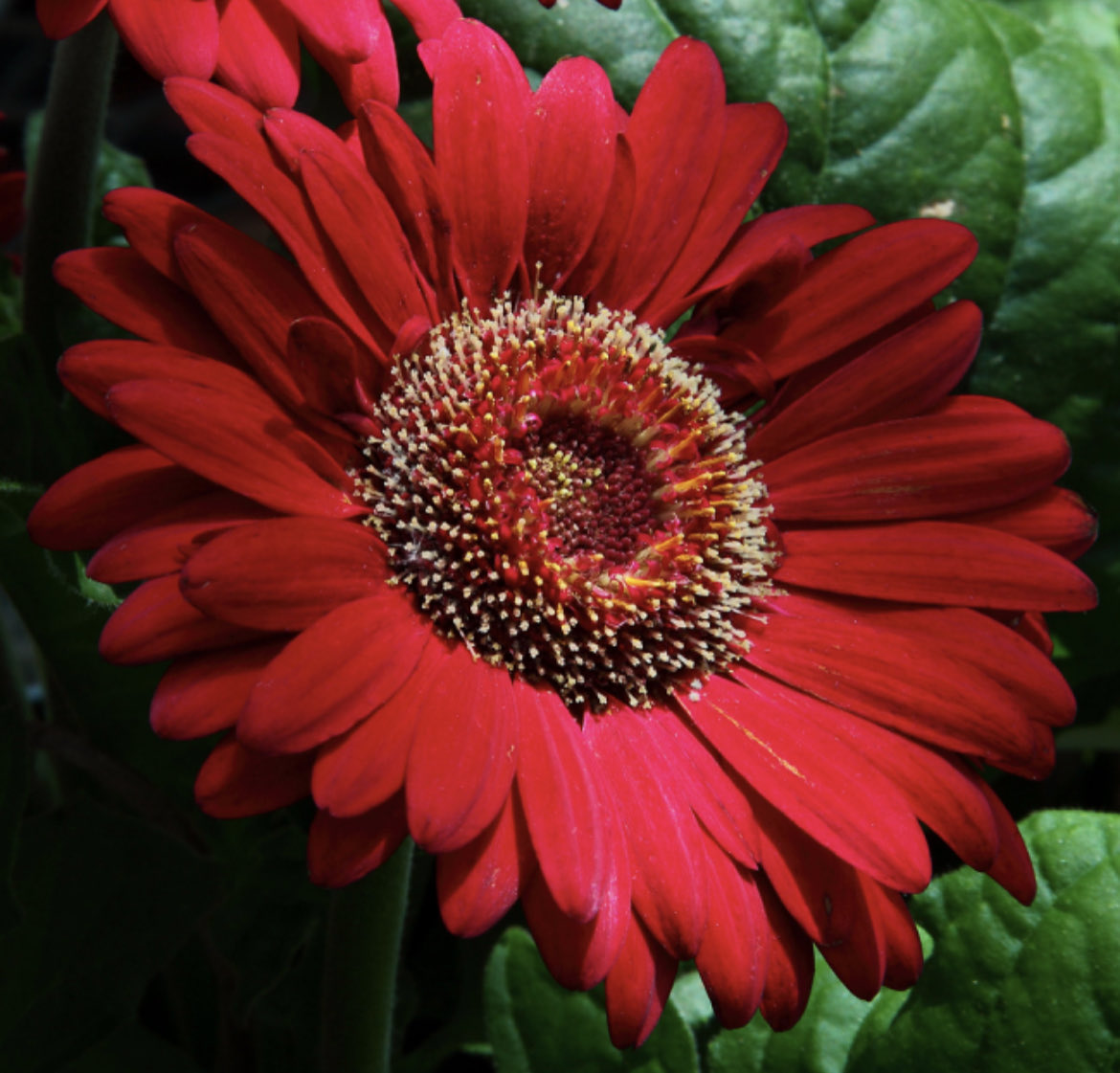 Goodnight Sleep well
🍃🥀🍃🥀🍃🥀🍃
@lisahudsonchow7
<a href="/satansradio666/">MAGA ROCK GAINS</a>
<a href="/PAYthe_PIPER/">PIPER #MAGA GAINS</a>
<a href="/DragonSword778/">DragonSword778</a>
<a href="/NolaCookPatriot/">Patriot Nola</a>
<a href="/Pokemom2R/">🇺🇲MAGADONIAN PokéMom🇺🇲</a>
@Robynlove171
<a href="/MarciaWalls12/">Marcia Walls</a>
<a href="/ChrisLilBooksto/">Chris Kleyn@Chris' Li'l Bookstore</a>
<a href="/TheLizVariant/">TheLizVariant</a>
<a href="/1OgOutlaw/">σg тєχαѕ συтℓαω </a>
@SaltLife177
<a href="/Gigi214TX/">GiGi🇺🇸💙😘</a>
@⁦pilldrswife⁩
<a href="/ArnotbUp/">DeplorableInPa</a>
<a href="/45Gigi24/">Gigi</a>
<a href="/Bert7058/">🇺🇸Bert🇺🇸⭐️⭐️⭐️</a>
<a href="/45dtj/">Robert 🇺🇲</a>