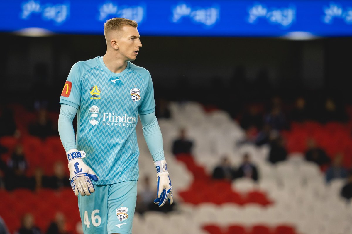 Joe Gauci tweet media