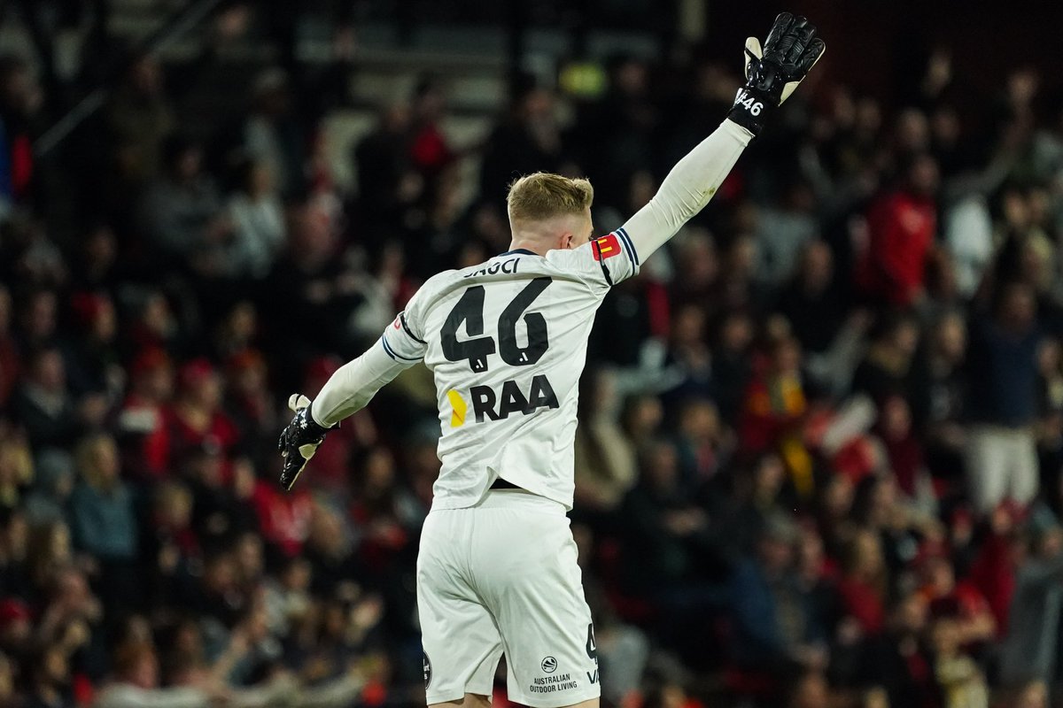 Joe Gauci tweet media