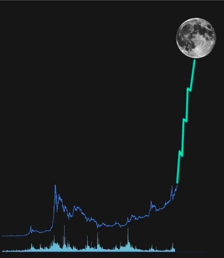 Open4profit tweet media