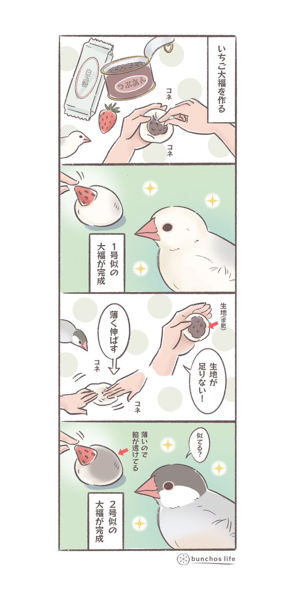 ãã¡ã倧çŠãæ¡å€ç°¡åã«ã§ããã®ã§ãã¡ãã®åºåããã®ææã«æ¯éâš(æ±è¥ã¯ç±³ç²ãäžæ°ç²ã§ã)
#æé³¥
#4ã³ã挫ç»