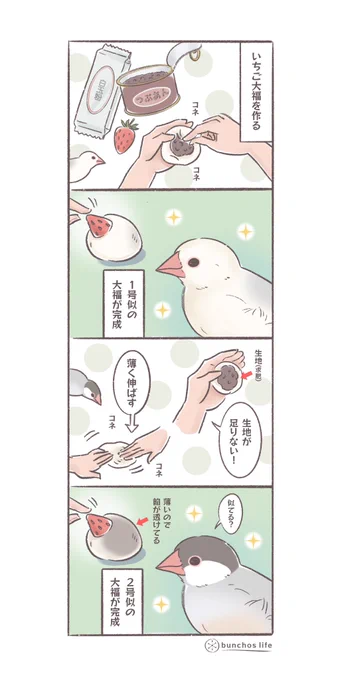 いちご大福、案外簡単にできるのでいちごの出回るこの時期に是非✨(求肥は米粉や上新粉でも)
#文鳥 
#4コマ漫画 