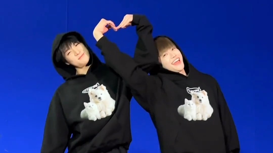 jjarchiv's tweet photo. samocat 🐶🫶🏻🐱 https://t.co/CwZ5XCNWkX