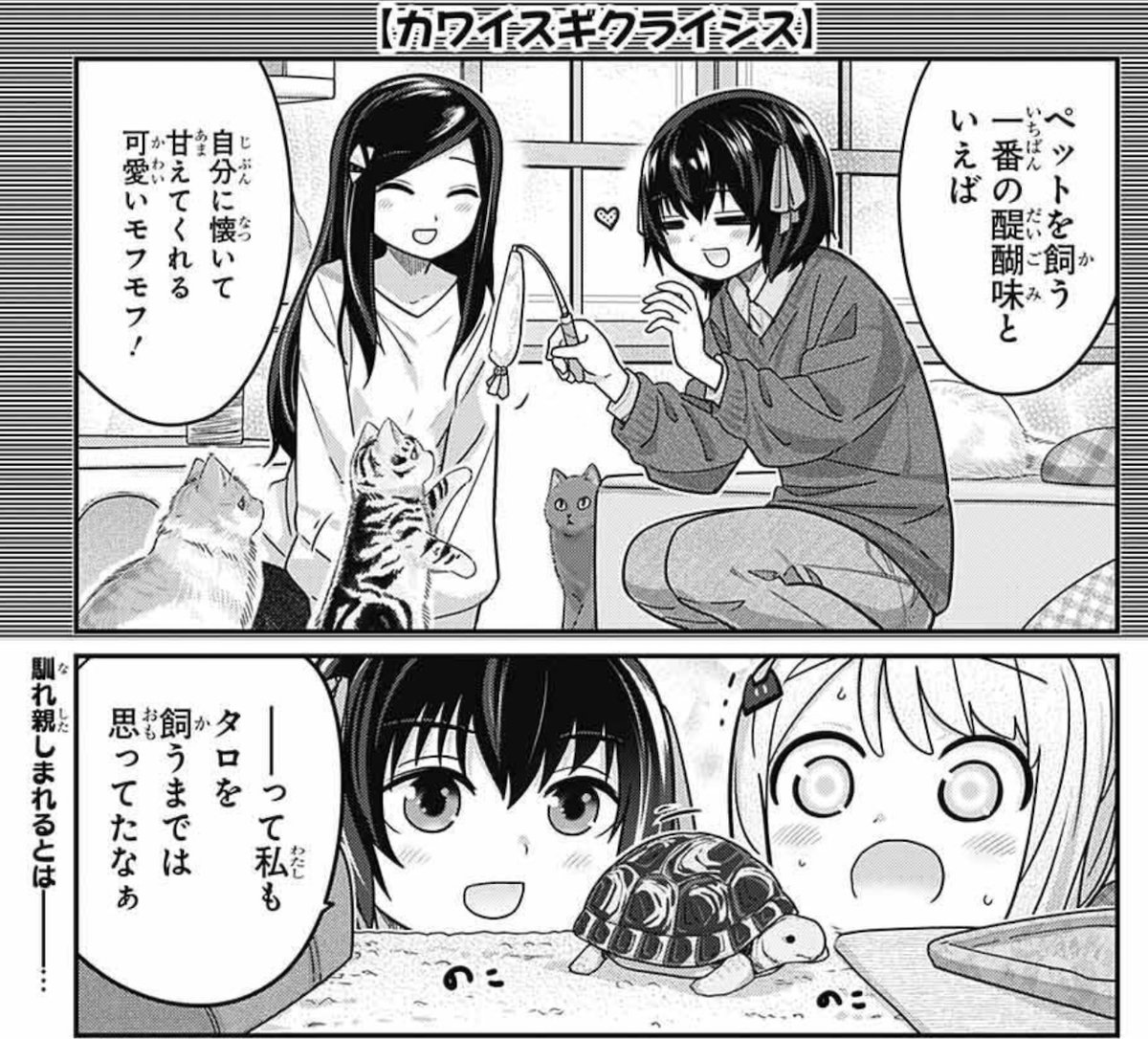 発売中のジャンプSQ.3月号に『カワイスギクライシス』載せてもらってます。 地球の動物にもだいぶ慣れてきたようなそうでもないようなミトラ。 そろそろ自分にもペットを飼えるだろうかと思っていたところに新たな出会いが…!? というお話。 楽しんでもらえたら嬉しいです。 よろしくお願いします!