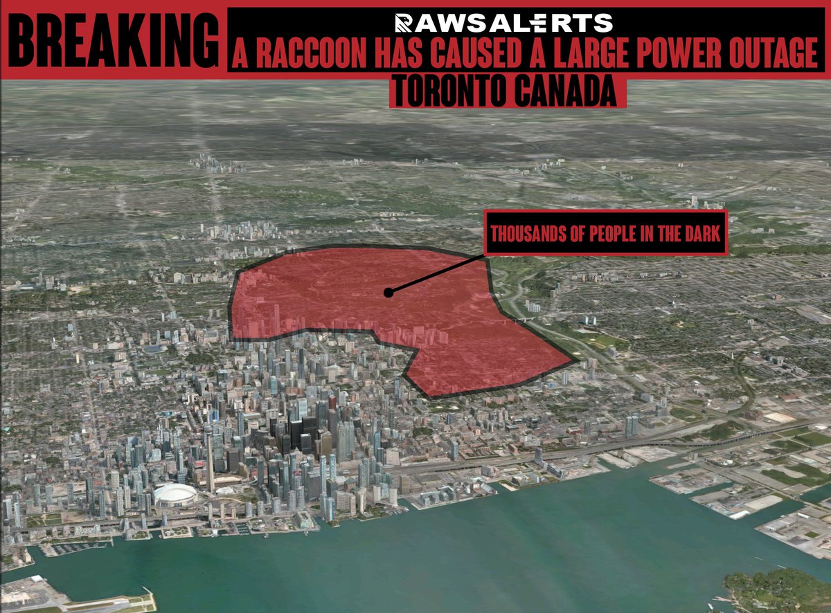 🚨#BREAKING: A Raccoon has Caused a large Power Outage, Plunging part of Downtown Darkness   📌#Toronto | #Canada

Currently, thousands of people are without power after officials report that a raccoon made contact with electrical equipment, causing a blackout in part of