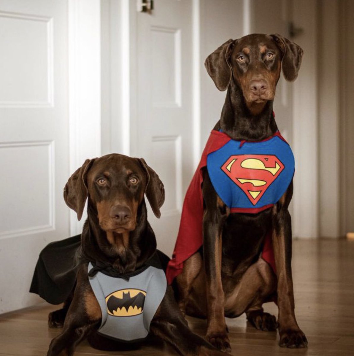 It’s so much easier being Batman. No one ever expects him to fly.