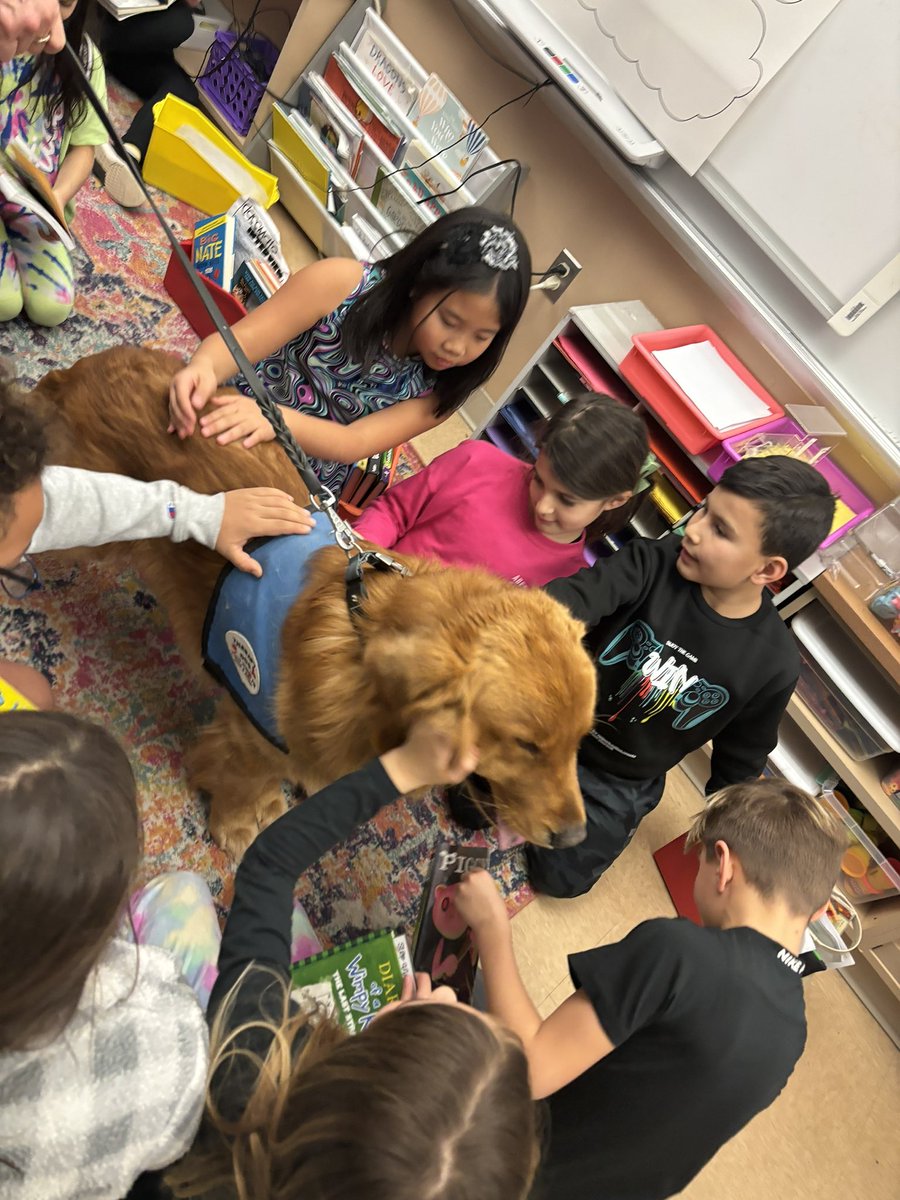 Chelsea Mecanko tweet media