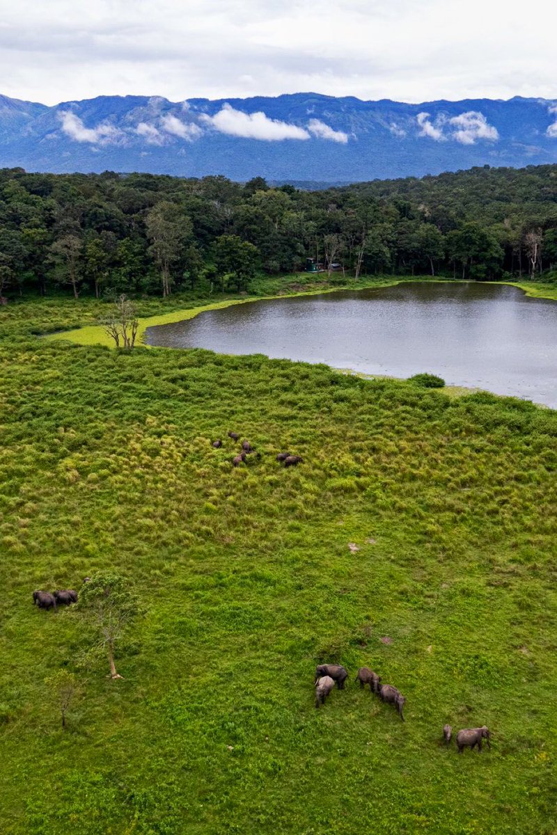 rameshpandeyifs's tweet image. World Wetlands Day is celebrated each year on 2 February to raise awareness about wetlands. This day also marks the anniversary of the Convention on Wetlands, which was adopted as an international treaty in 1971 at Ramsar. This year’s theme is ‘wetland restoration’.
