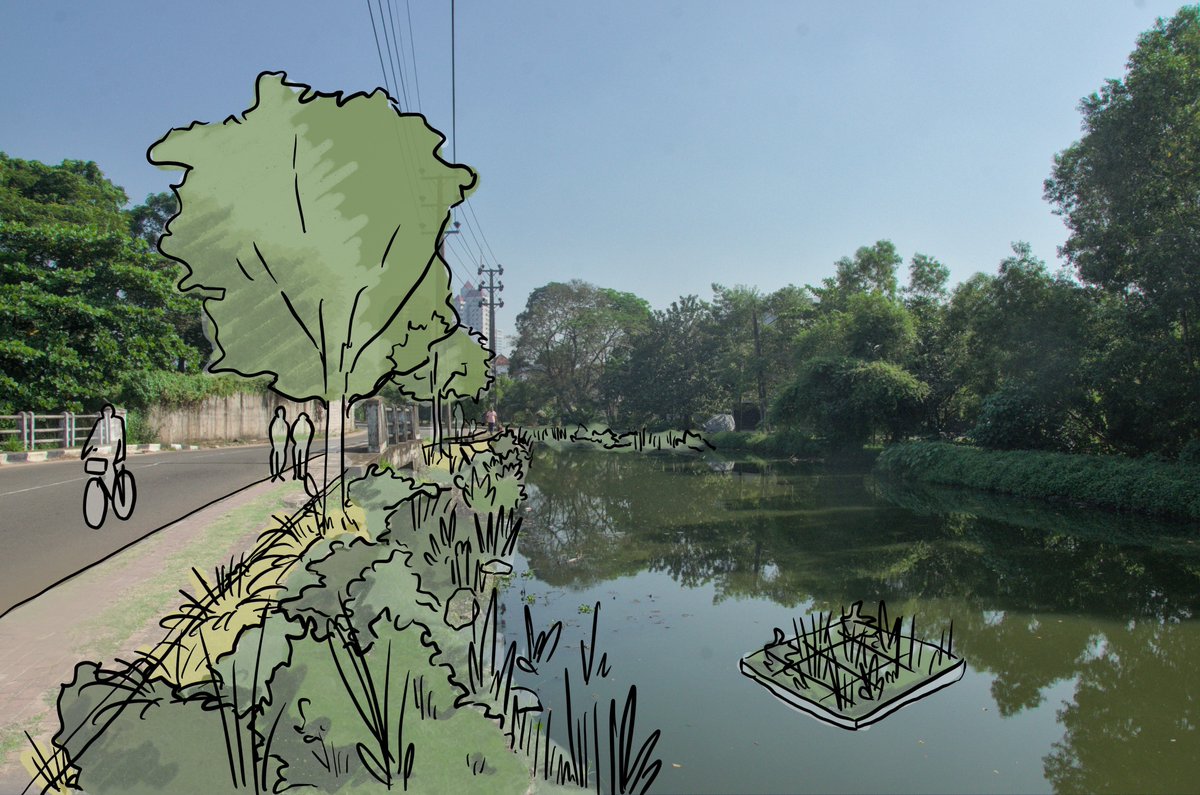 IWMI_'s tweet photo. 🌿🏢The theme of this year’s World Wetlands Day highlights how human wellbeing is intricately linked to the health of the world’s wetlands. 

Read about how Colombo’s urban wetlands make the city livable 👉 https://t.co/0qnGzwtBQe

#WetlandsandHumanWellbeing #ActforWetlands https://t.co/xpBcUSBNEj