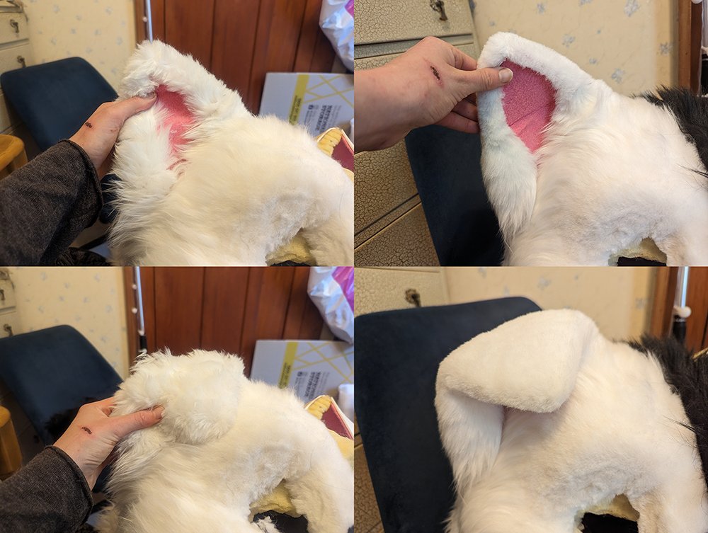 ⚡️SparkyCanDo!🌟 tweet media