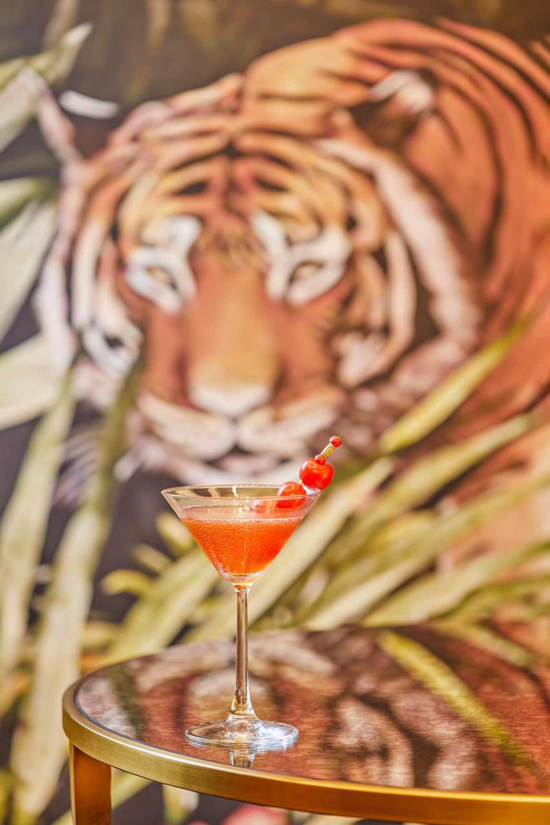 TajviewAgra's tweet photo. Cheers to the weekend! 🥂

#TajviewAgra #Agra #SeleQtionsHotel #IAmAtSeleQtions #WhatsYourSeleQtion #Getaways #DreamGetaway #SeleQtions
#NamesCollection #ExperienceSeekers https://t.co/uZAx8PYsJa