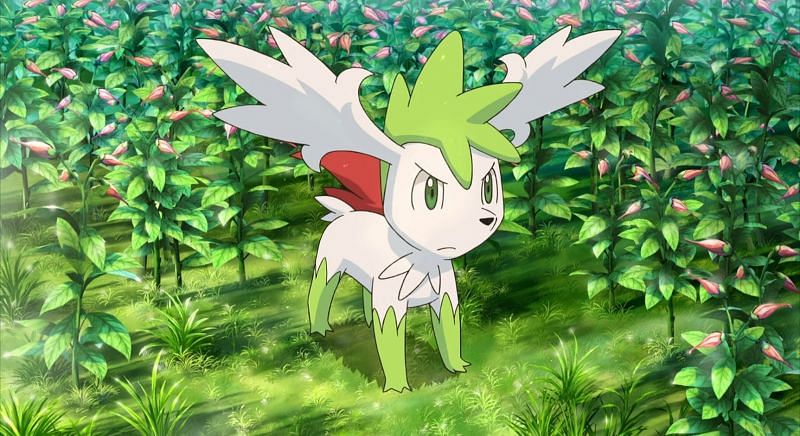 EndenAgolor's tweet photo. STOP ✋ if you’re reading this then you’ve reached the Pokémon checkpoint you’re now obligated to share your favourite!

👉👈 i cannot choose just one but these are my top three https://t.co/tFg1SlZn2r