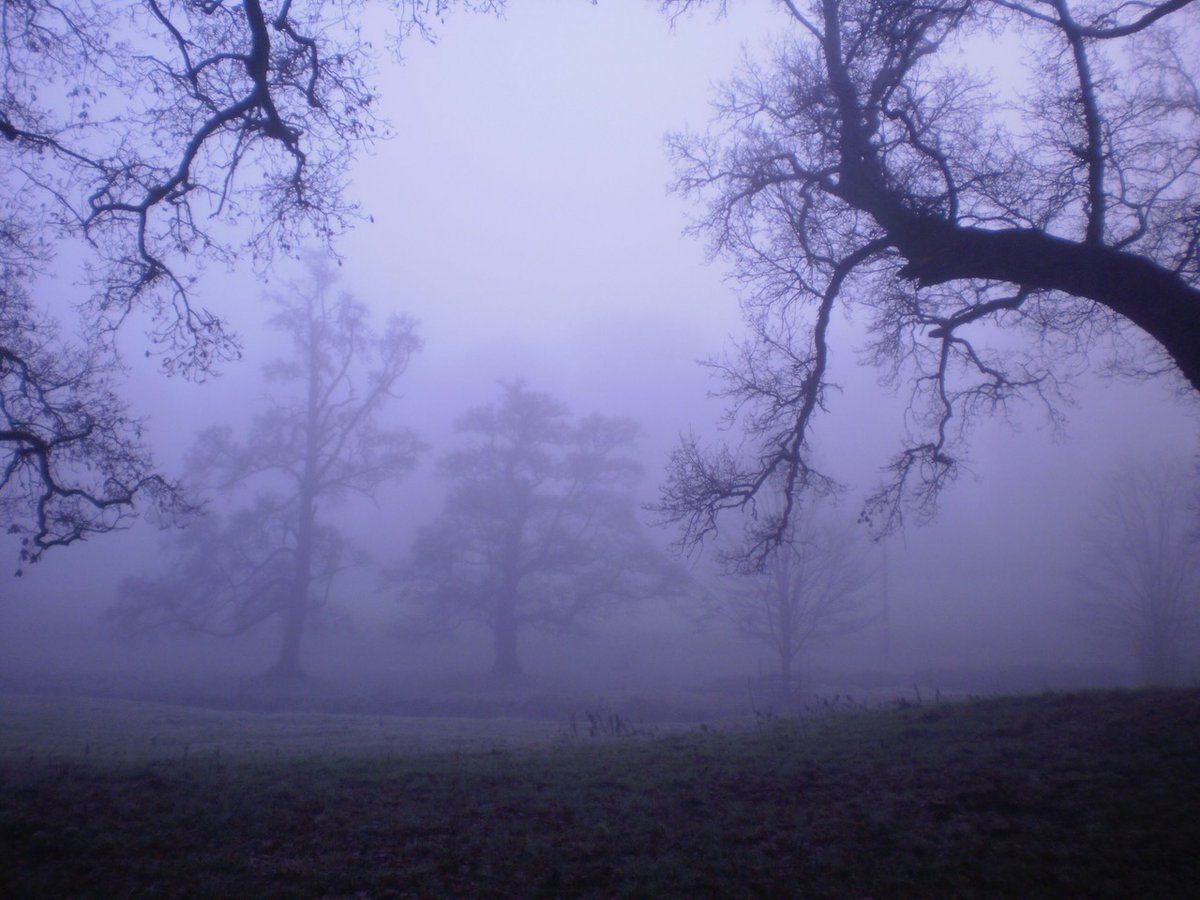 So much fog around these past few weeks thought I'd share some photos of the country road I had to walk down to get to work when I lived in Scotland. Deffo getting some American Werewolf vibes. #MutantFam #Horror #HorrorFam #HorrorCommunity