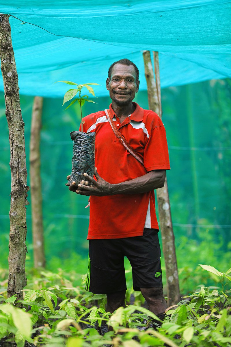 wafigolpujv's tweet photo. Enabling local communities to earn a significant and sustainable income from agriculture is a core focus for the WGJV.
The success of the WGJV’s ‘mining chocolate’ cocoa development program speaks for itself. Families in... read more at https://t.co/724H2SeYr9 https://t.co/RV5xBnVzec