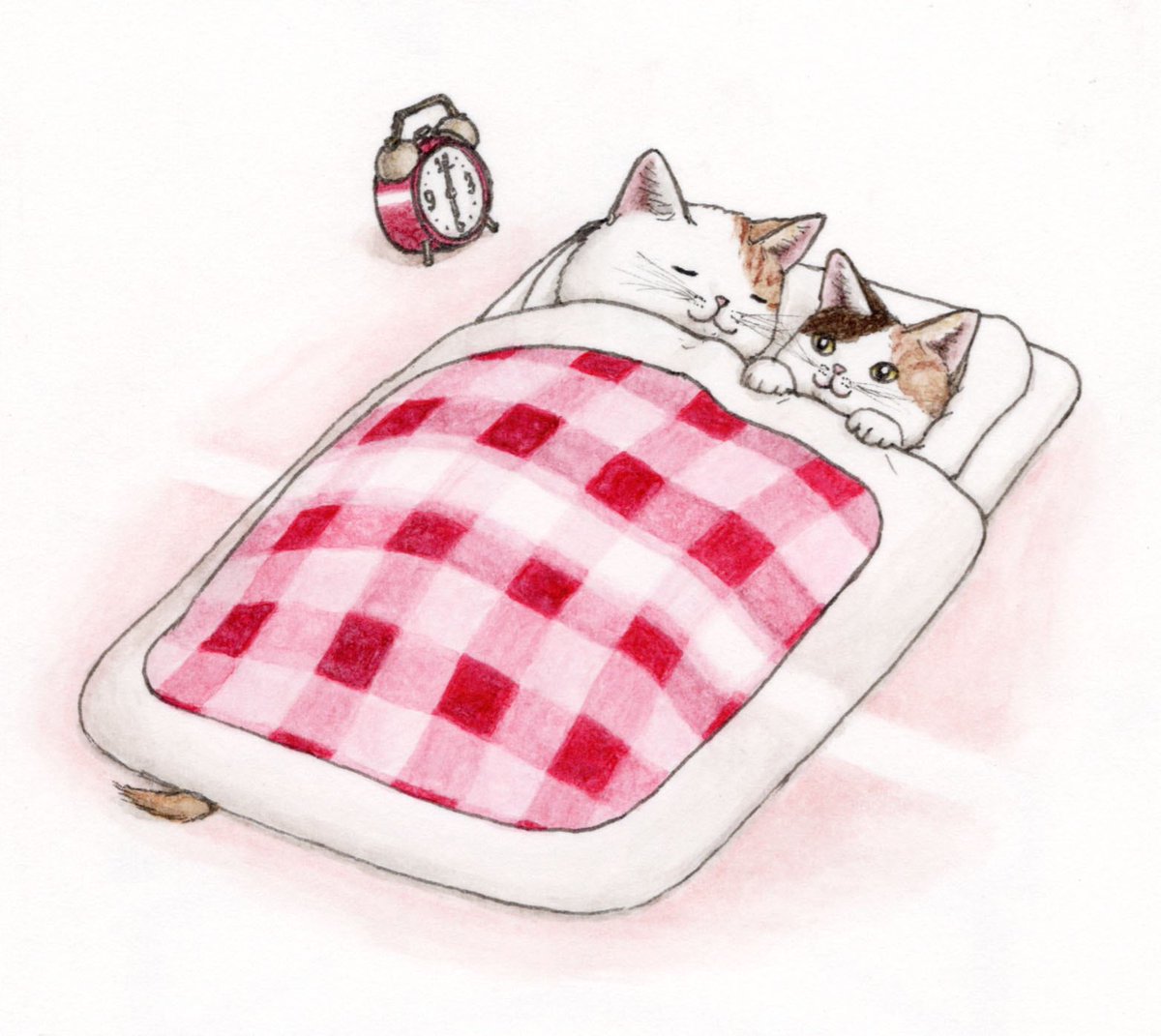 cat no humans animal focus sleeping pillow clock under covers  illustration images