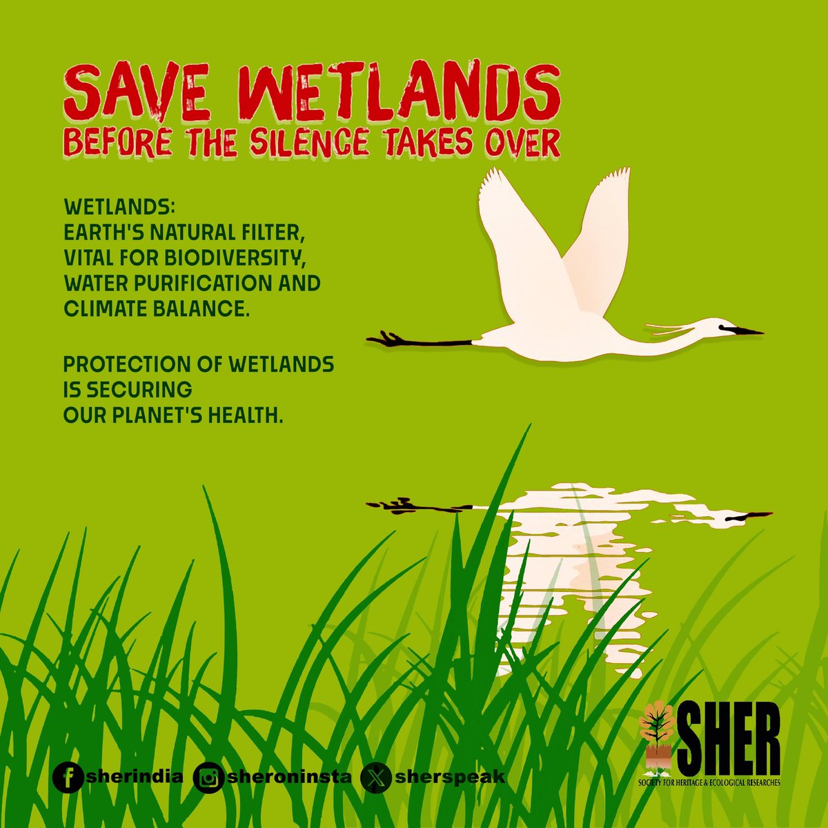 #wetlands #wetlandsday 

facebook.com/share/p/bb99H4…