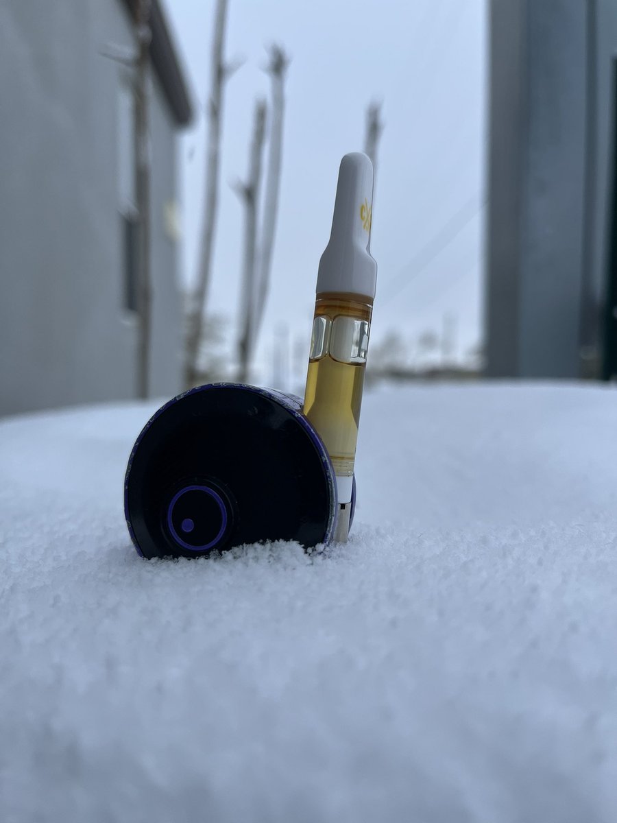 CynIsHigh's tweet image. 🦦