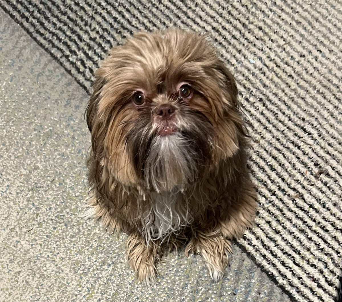 THE HERD HOUSE tweet media