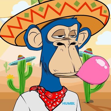 BlueDerivative's tweet image. #APESNOTLEAVING
#humbl #HeyBlue