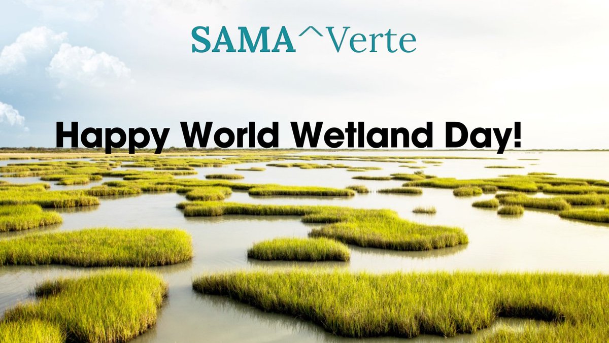 sama_verte's tweet photo. Celebrating World Wetland Day! 🌎 Today, we honor and appreciate the invaluable ecosystems that wetlands provide to our planet. Happy World Wetland Day!
#Sustainbility #Biodiversity #Planet #WorldWetlandDay #WetlandConservation https://t.co/rm1KgwPuLu