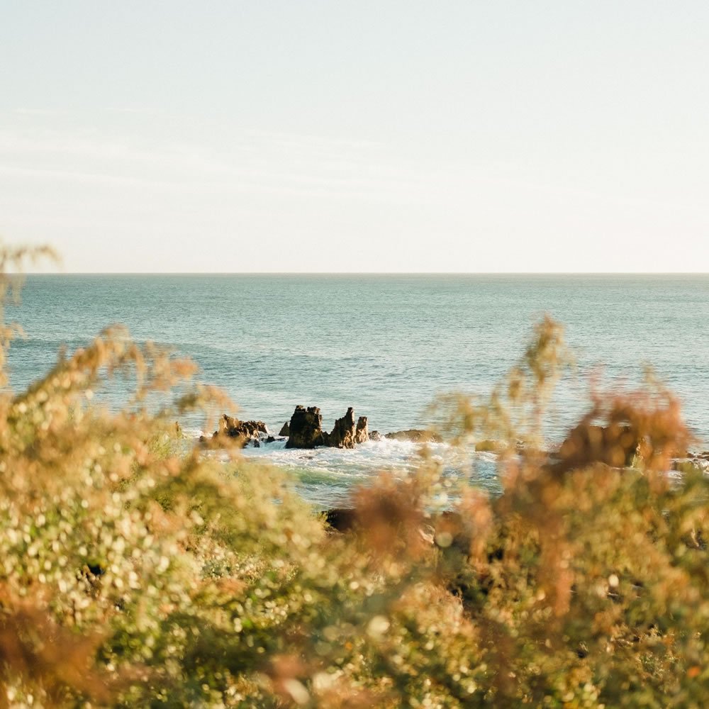 aldomanucio_lab's tweet photo. Ocean Edge (#novarium.co) offre une plateforme de collaboration pour stimuler l’#innovation, catalyser l’énergie des start-ups afin d’atteindre les objectifs de décarbonisation maritime.

@JournalSoir.
https://t.co/U8nJVYv5rG https://t.co/kG0f47H3hG