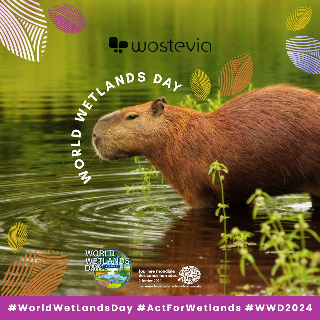Celebrating #WorldWetlandsDay!🌎 "Wetlands &amp; Human Wellbeing."Wetlands are key to our environment, providing clean water, supporting biodiversity, and fighting climate change.💧🕊️ Let's protect and restore these vital ecosystems for a sustainable future. #WWD2024 #ActForWetlands