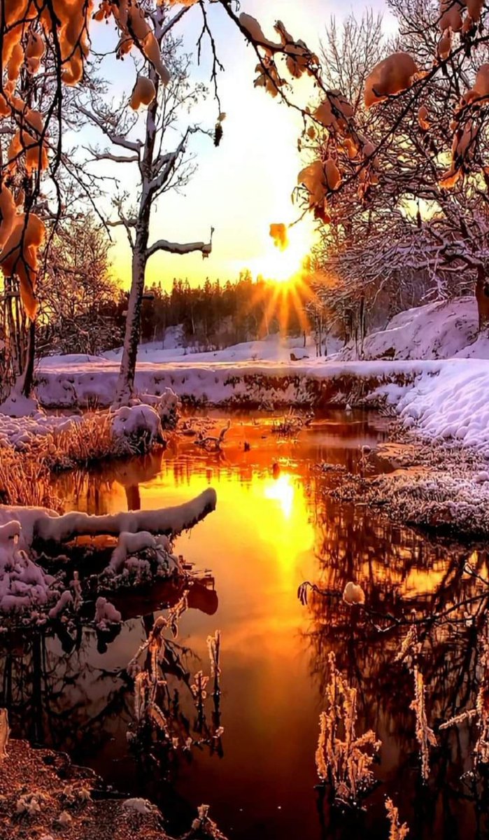 kedimaya20's tweet photo. Günaydın ❄️❄️ https://t.co/K2LOGgZzTi