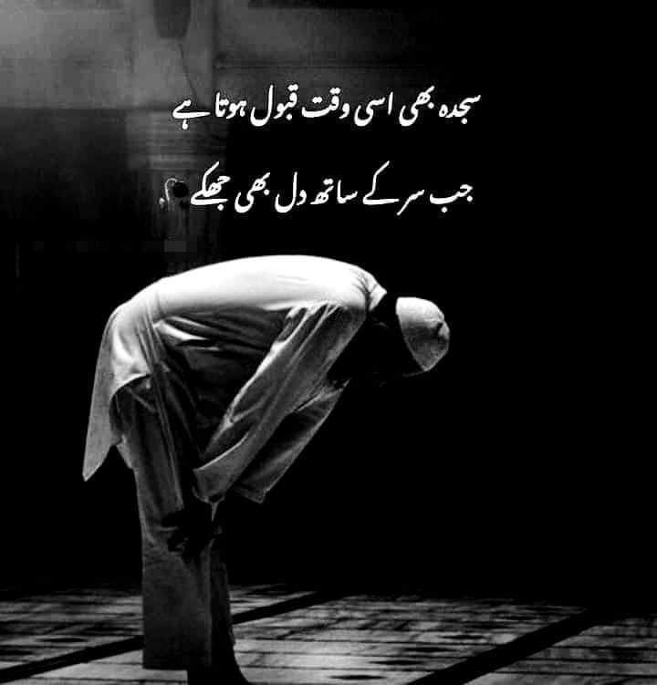 Aslam.o.alaikum❤️