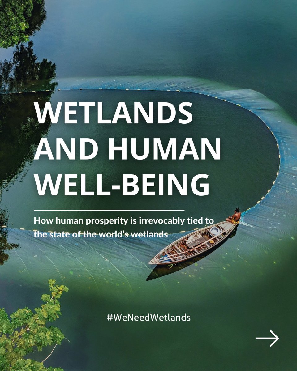 🌱 Happy #WorldWetlandsDay! Healthy wetlands ensure - 💧cleaner water, 🦩richer biodiversity, 🌱 thriving livelihoods, and 🌎 a more resilient environment Investing in wetlands is investing in a healthier, happier planet. 💙 #WeNeedWetlands